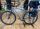 OFFER - New Wilier Triestina Jena 2023 bike size M